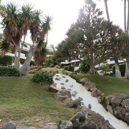 Estudio En Tenerife Con Piscina / Study Flat With Pool Lägenhet San Miguel de Abona Exteriör bild