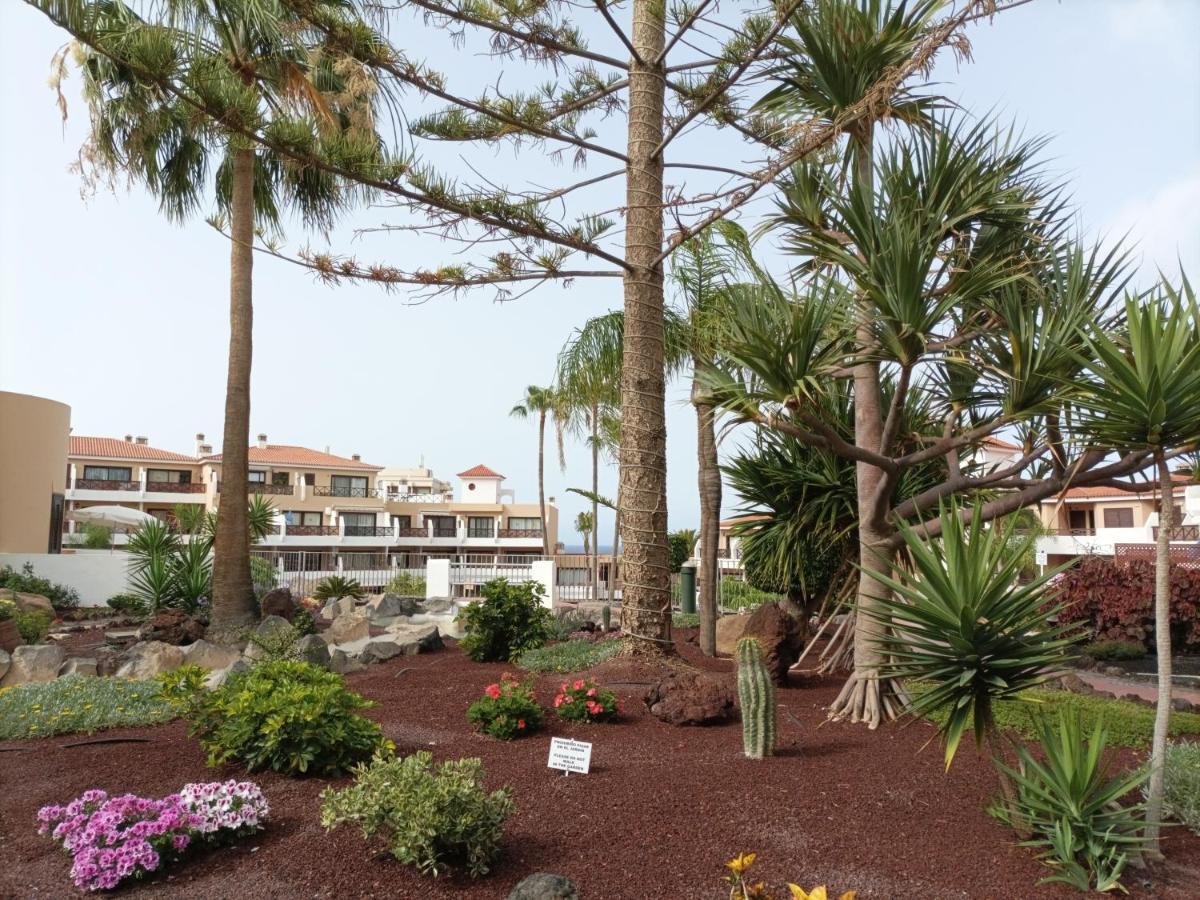 Estudio En Tenerife Con Piscina / Study Flat With Pool Lägenhet San Miguel de Abona Exteriör bild